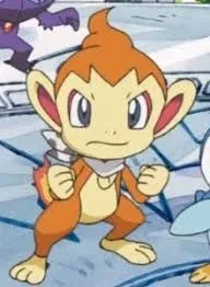 Avatar of PMD Chimchar