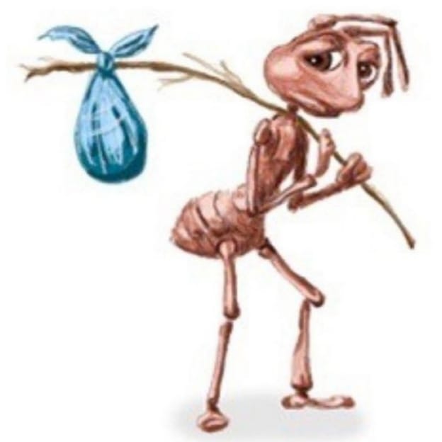 Avatar of TADEOOcorrecaminos