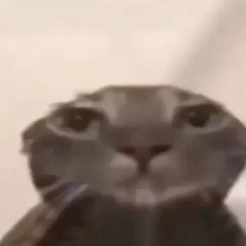 Avatar of Questions and answers Bot. 