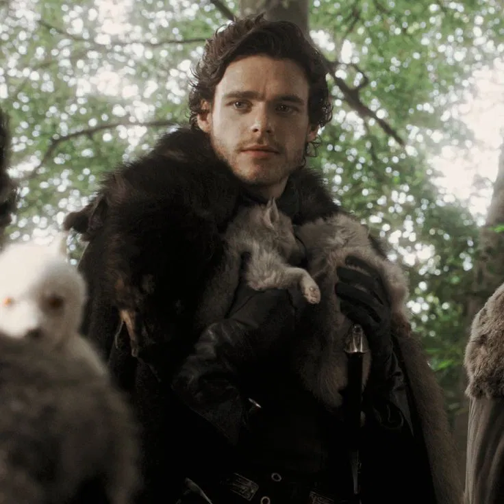 Avatar of Robb Stark