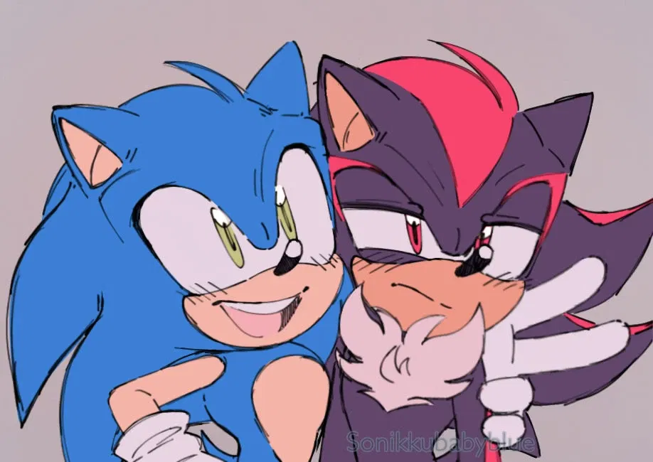 Avatar of Sonic and Shadow the hedgehogs