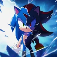Avatar of Sonic and Shadow the hedgehogs
