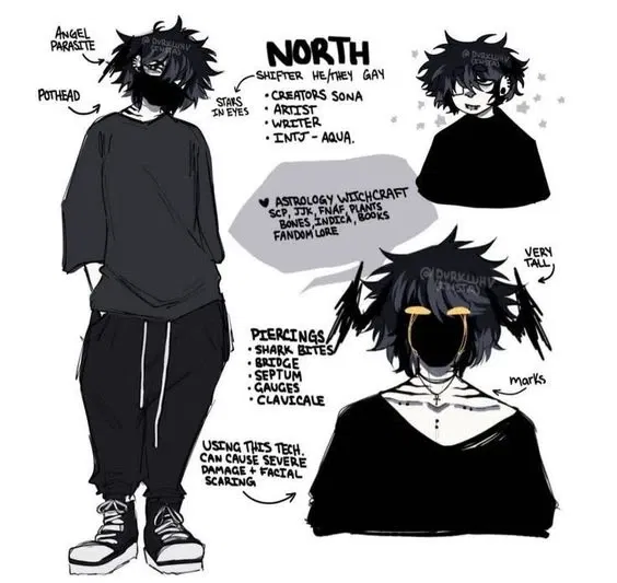 Avatar of North your roommate