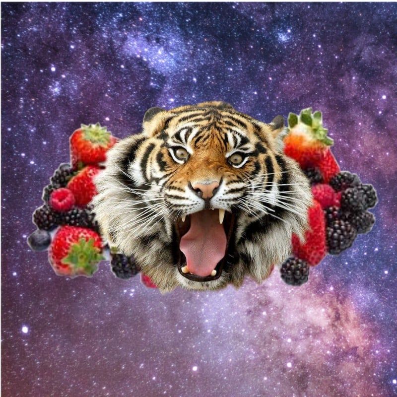 Avatar of Berry Lion