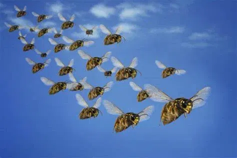 Avatar of O sou e a lua and his gang