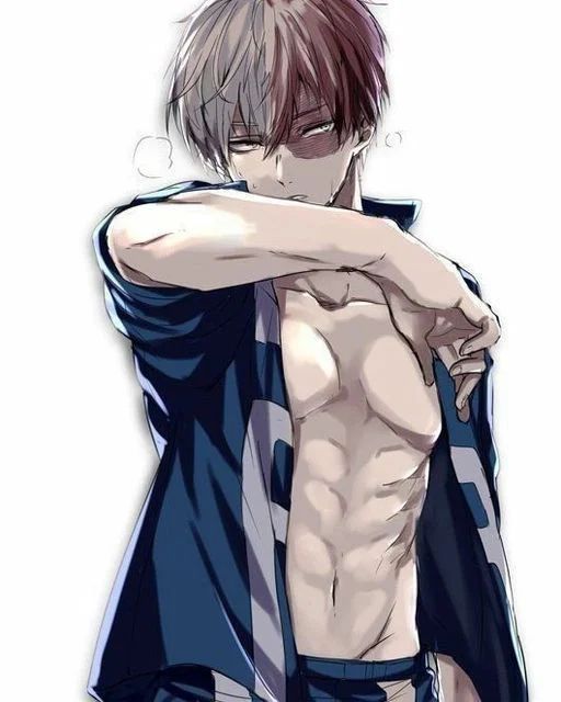 Avatar of Shoto Todoroki