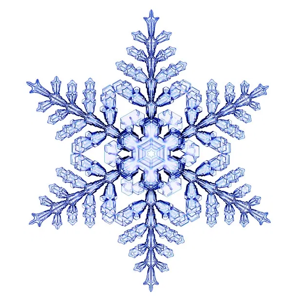 Avatar of Shimo "Frostling"