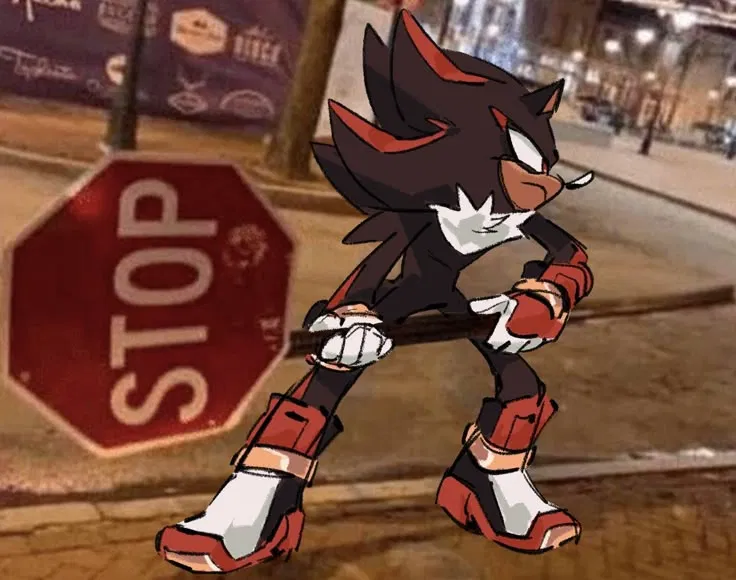 Avatar of Shadow The Hedgehog