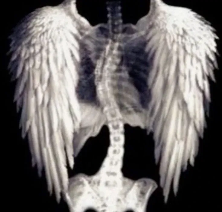 Avatar of Jönaharisin