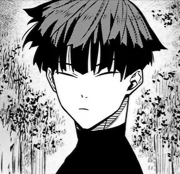 Avatar of Soshiro Hoshina 