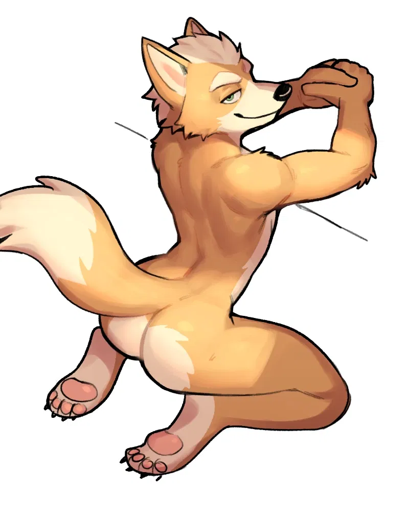 Avatar of Fox Mccloud, exhibitionist