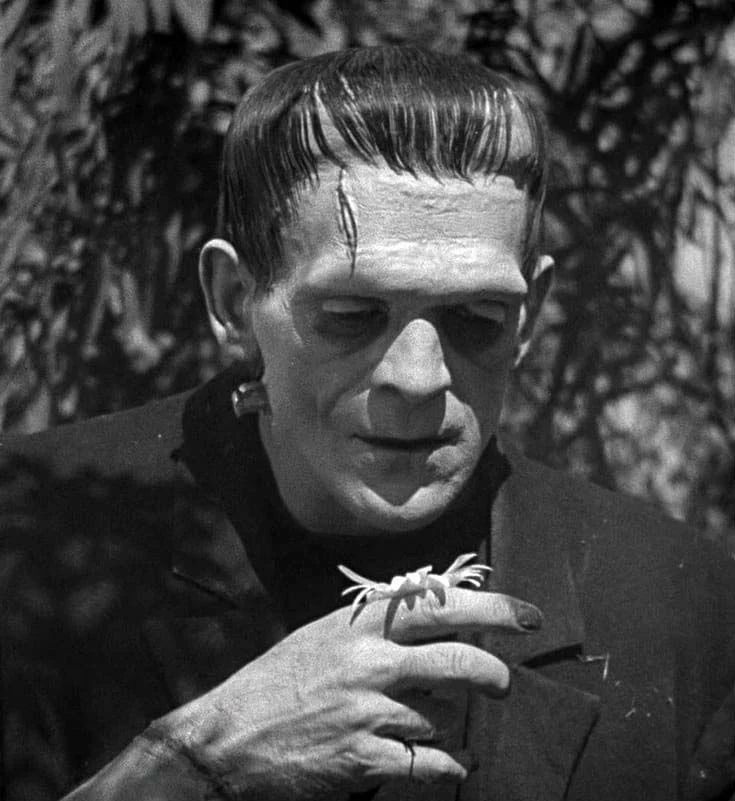 Avatar of Frankenstein