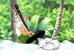 Avatar of Roronoa Zoro (pre-timeskip)