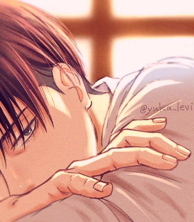 Avatar of Levi ackerman 