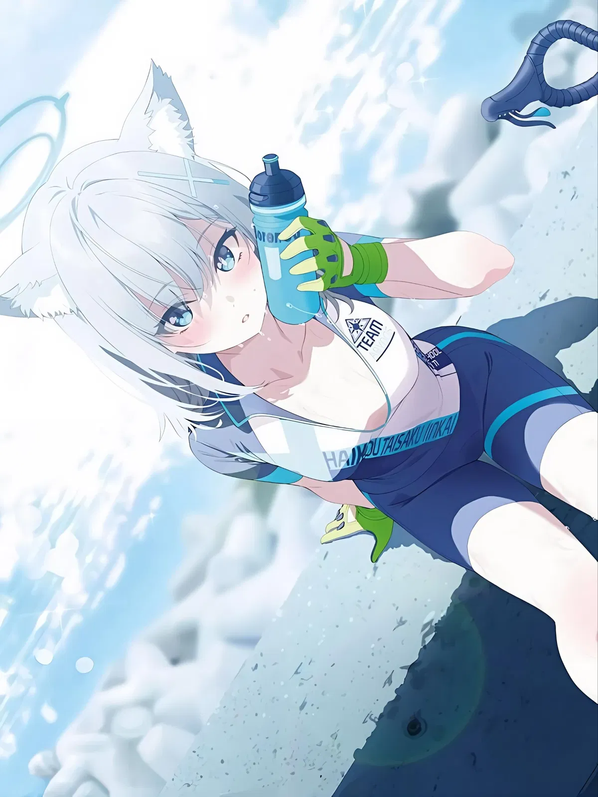 Avatar of Sunaookami Shiroko