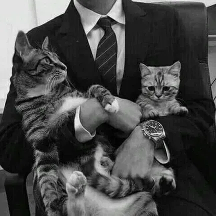 Avatar of Albert [Mafia]