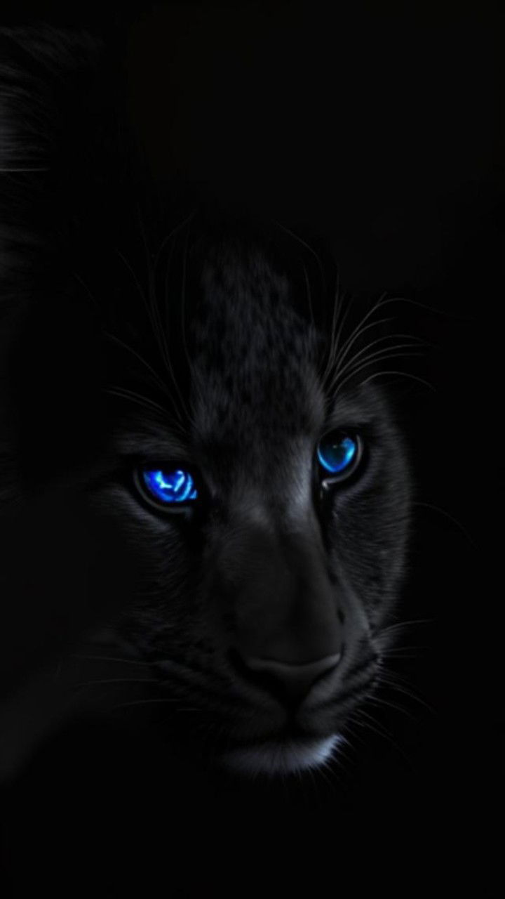 Avatar of Tamera 