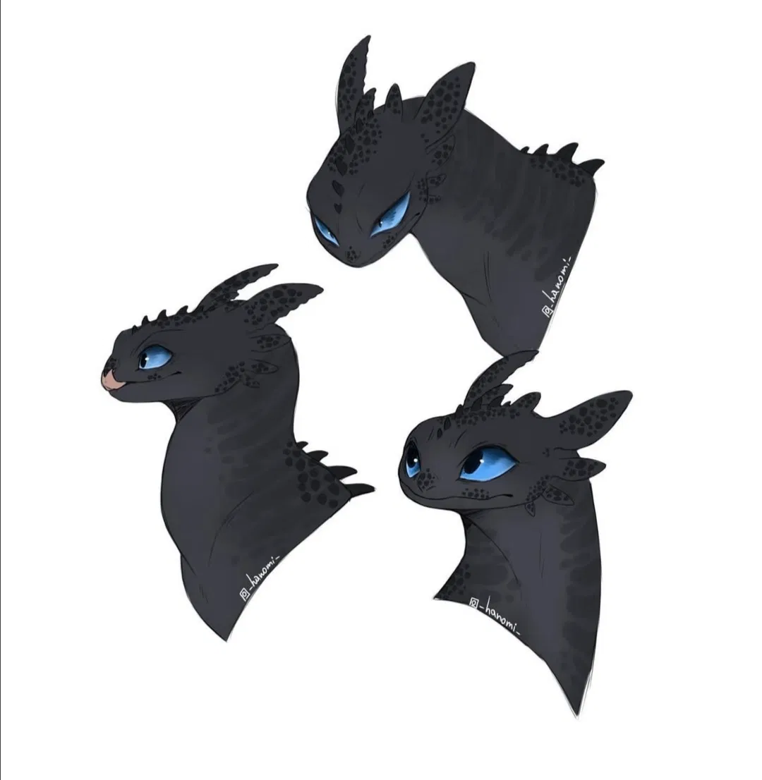 Avatar of Female Nightfury 