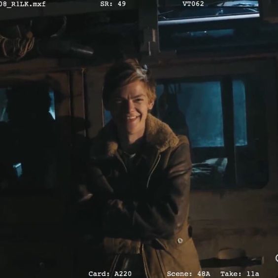 Avatar of Newt