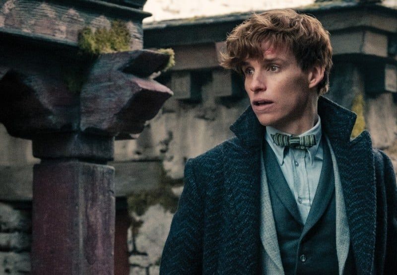 Avatar of Newt Scamander 