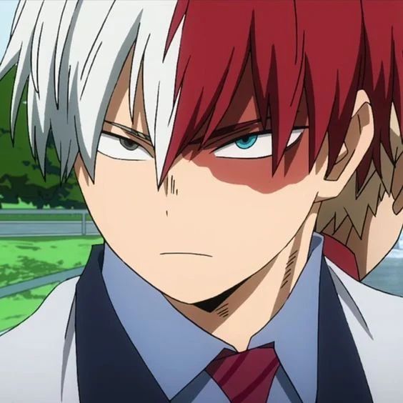 Avatar of Shoto Todoroki