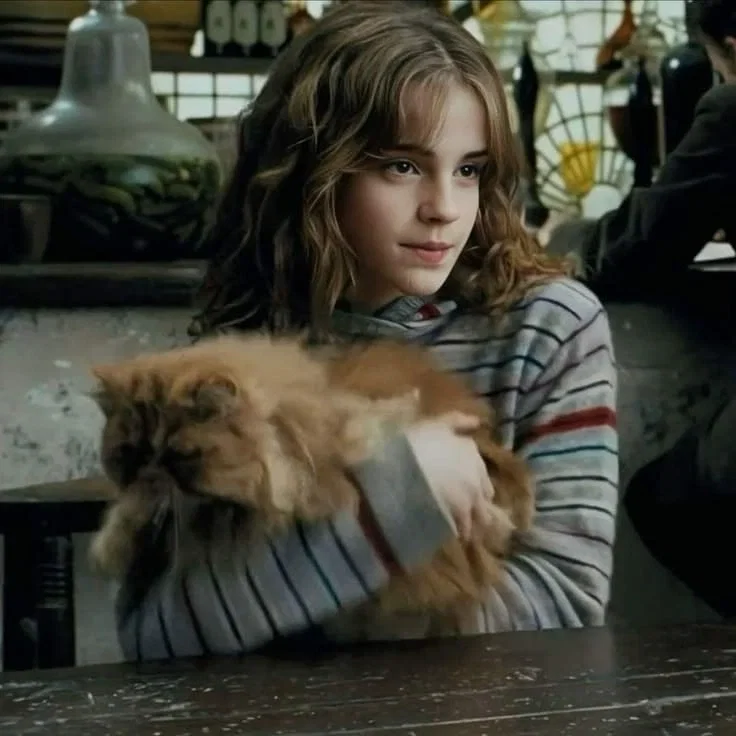 Avatar of Hermione Granger 