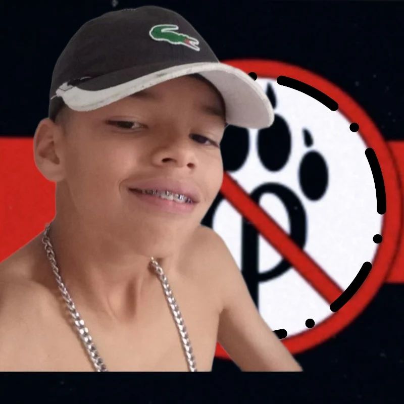 Avatar of Enzo sk8