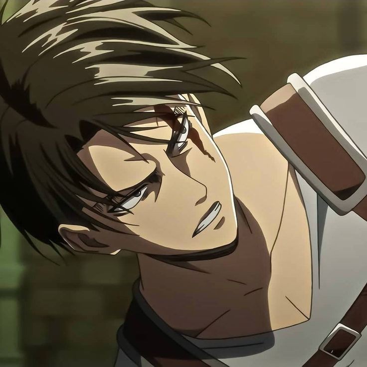 Avatar of Levi ackerman 