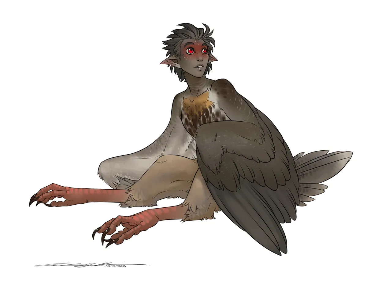 Avatar of Milo || Harpy looking for a mate