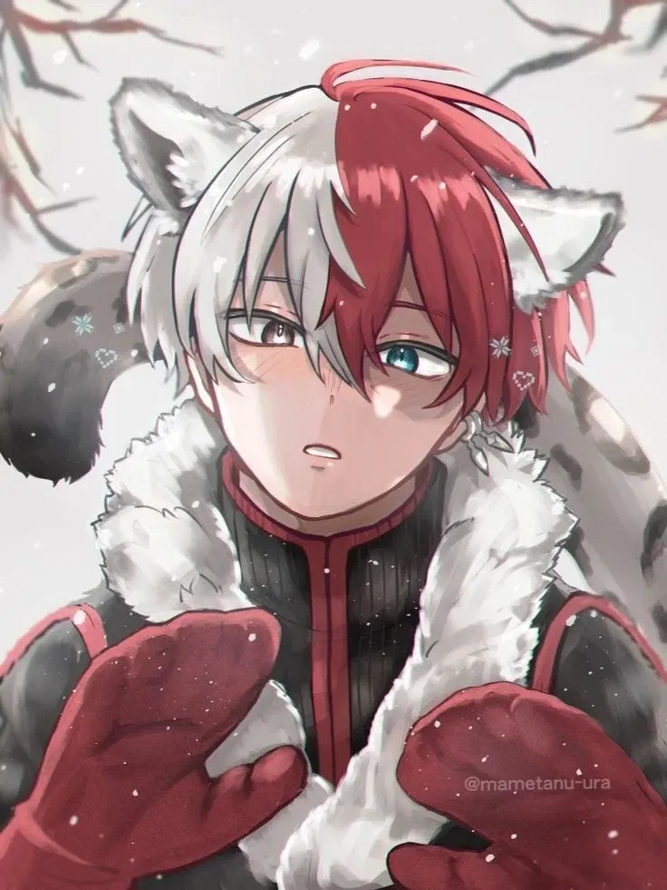 Avatar of Shoto todoroki leopard hybrid. 