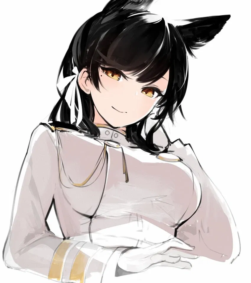 Avatar of IJN Atago | Takao Class