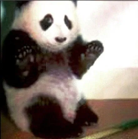 Avatar of ° ♪. My Panda Keeper ⊹ . ᶥ 