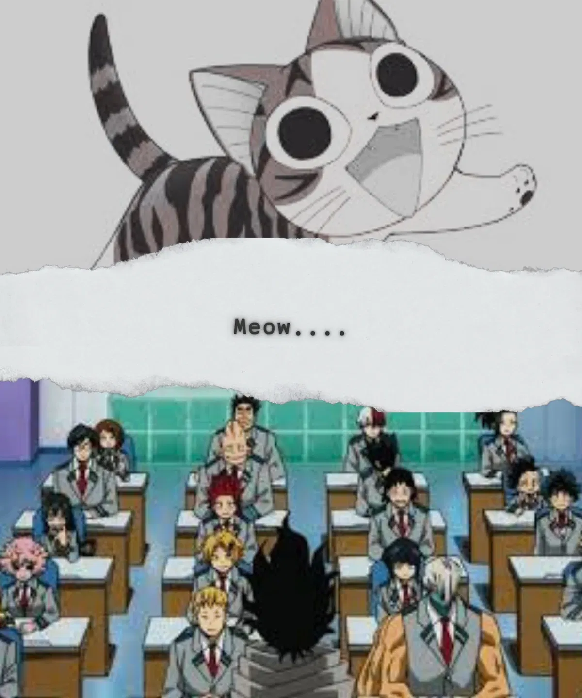 Avatar of Class 1-A | The Purrfect Scam