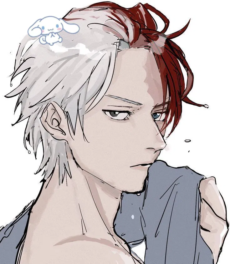 Avatar of Shoto Todoroki