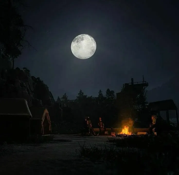 Avatar of THE LAST CAMP