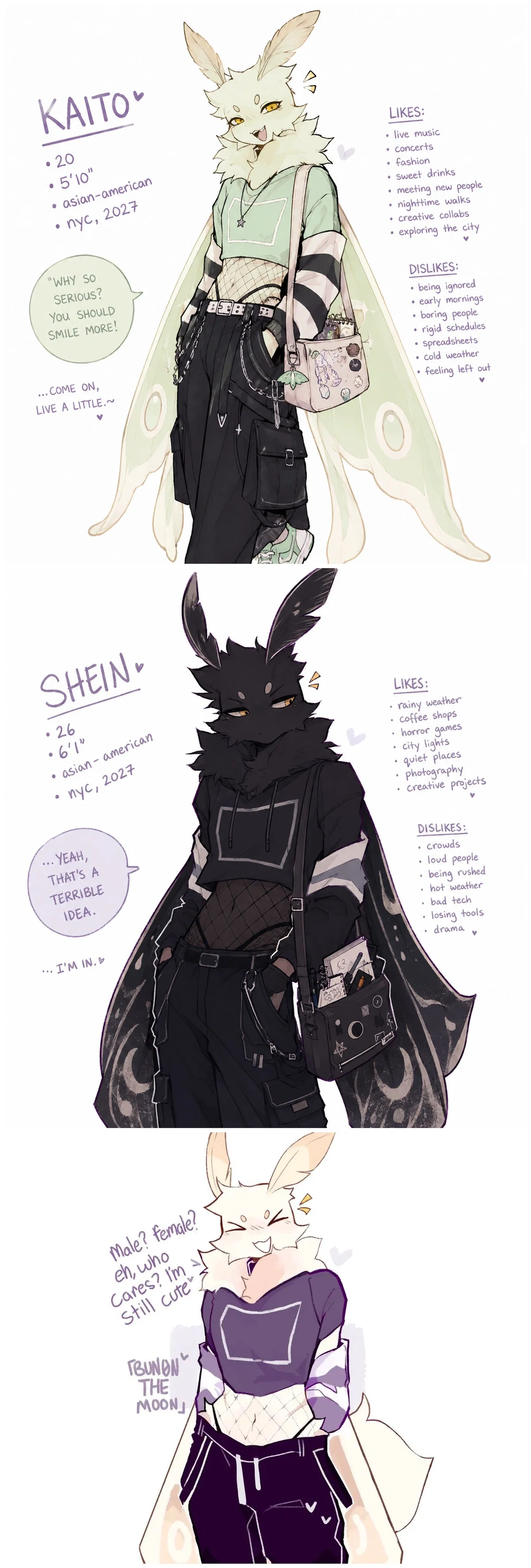 Avatar of 3 Cute Moth Boys