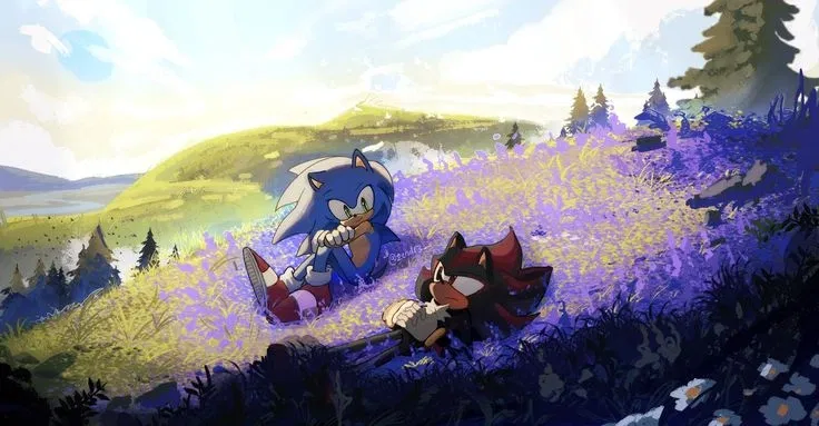 Avatar of Fleid of flowers! Sonic and Shadow the Hedgehog