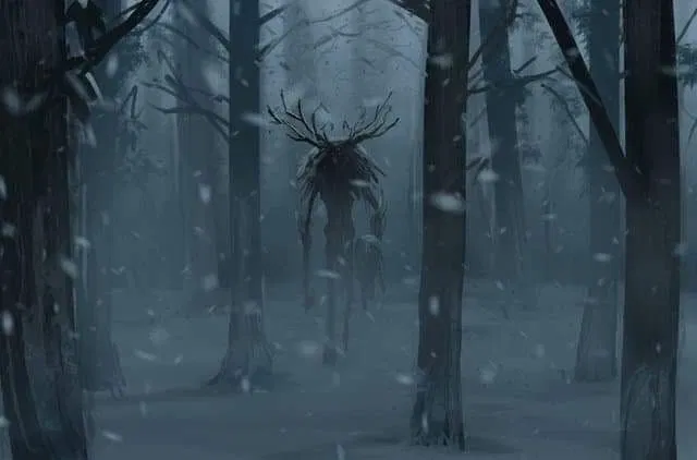 Avatar of Winter Solstice