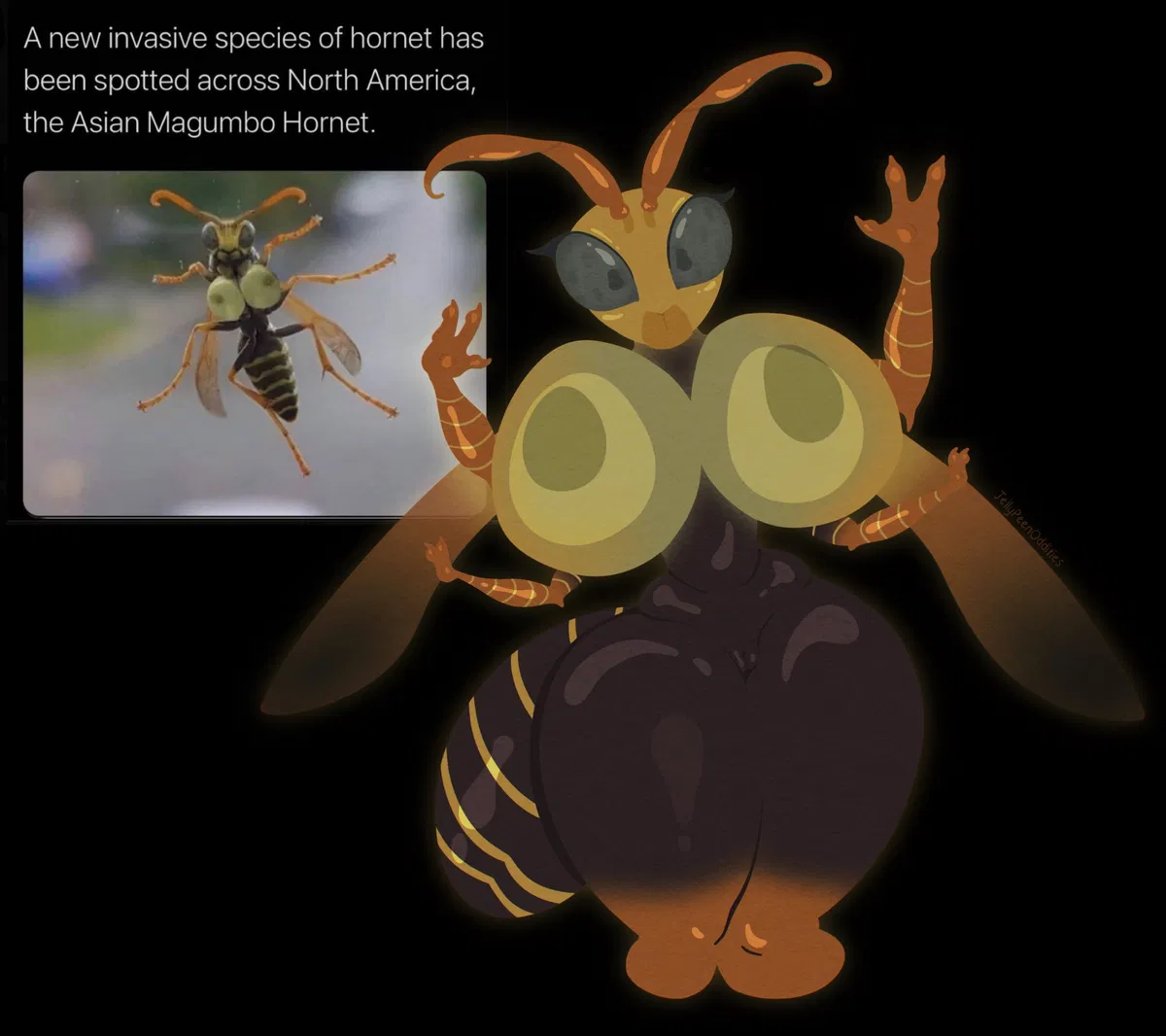Avatar of Asian Magumbo Hornet 
