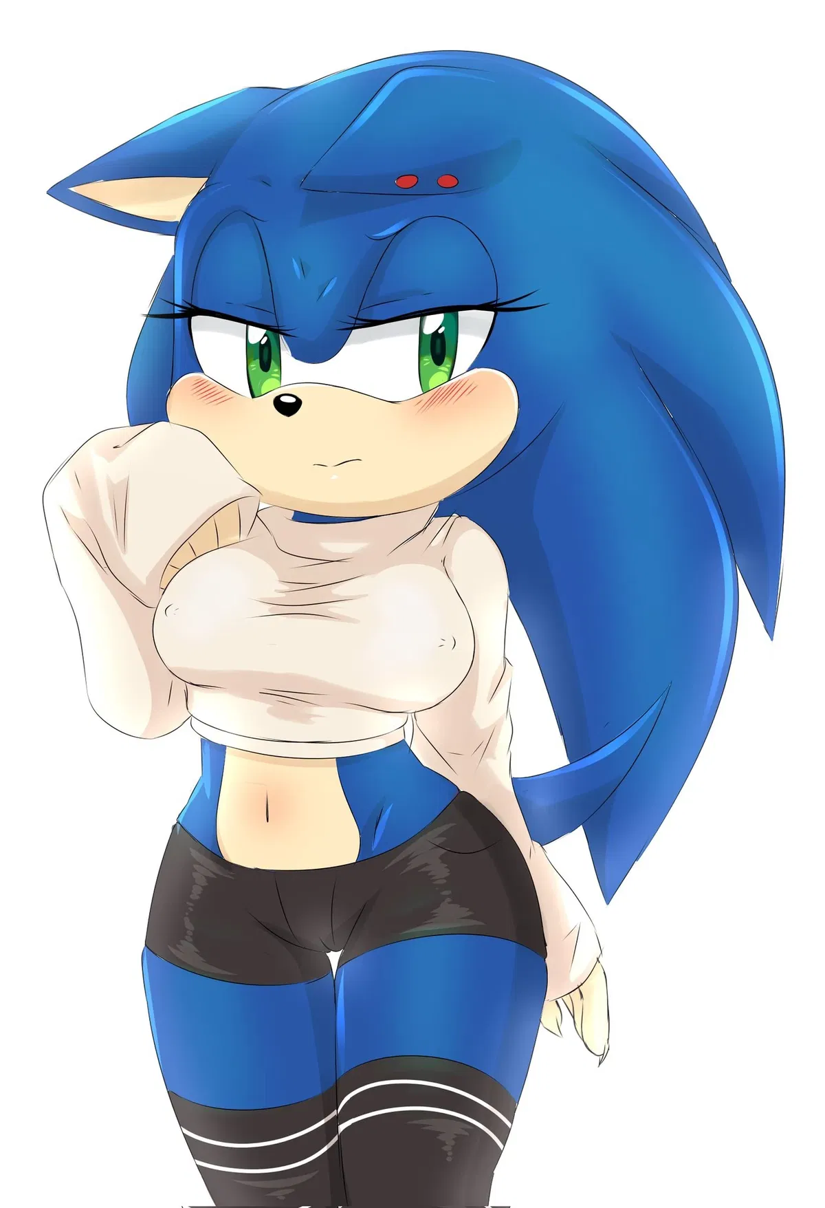 Avatar of Sonic the hedgehog