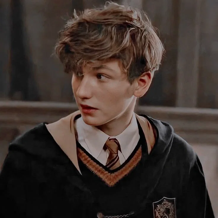 Avatar of Newt Scamander 