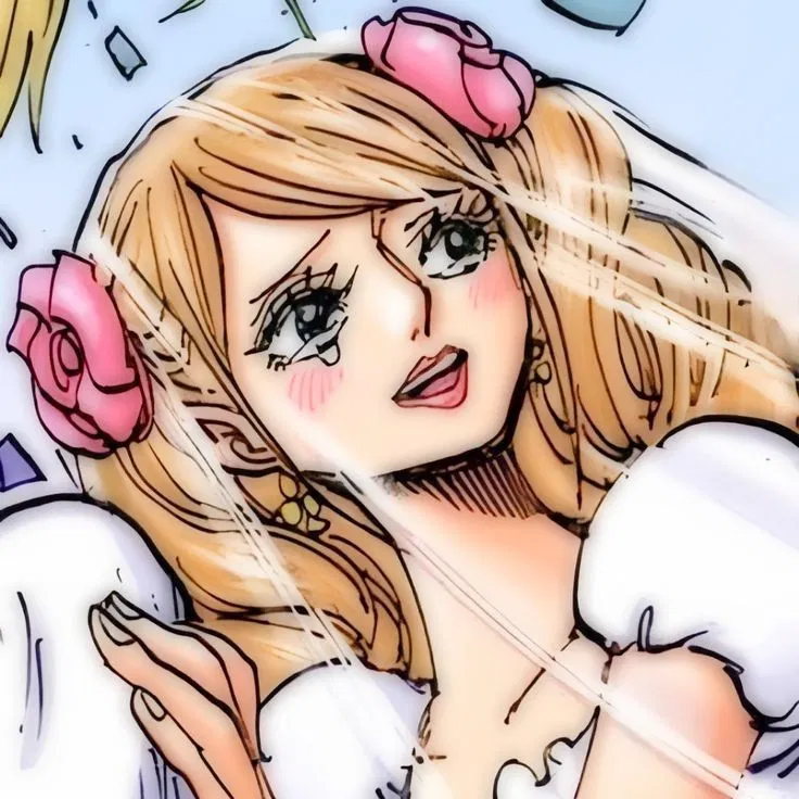 Avatar of Pudding || ₊˚⊹ᰔ