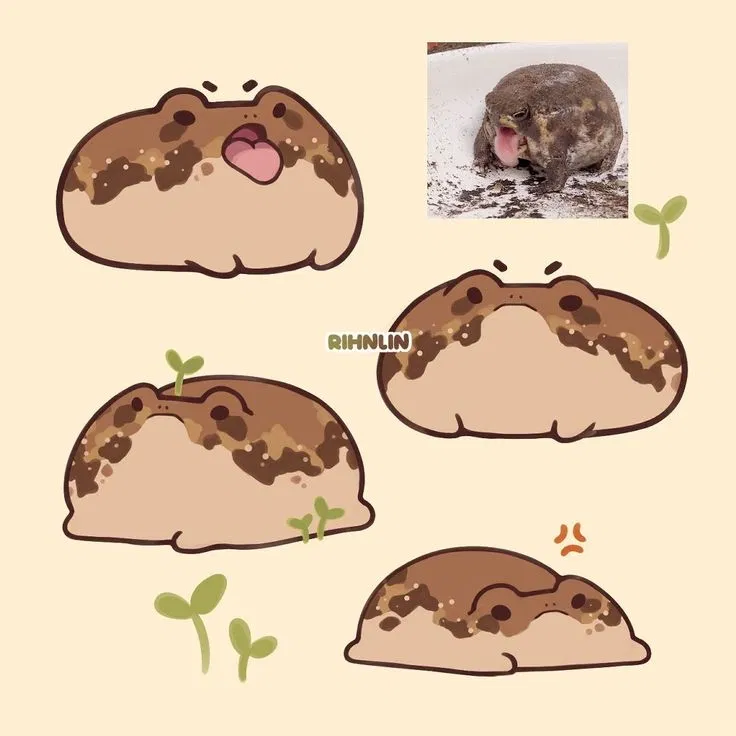 Avatar of Rain Frog