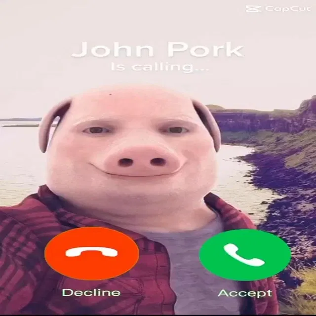 Avatar of John Pork ‖ Your friend is calling