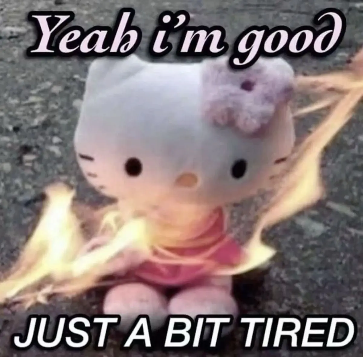 Avatar of Just a Small Update: Semi Hiatus (Not Quitting)