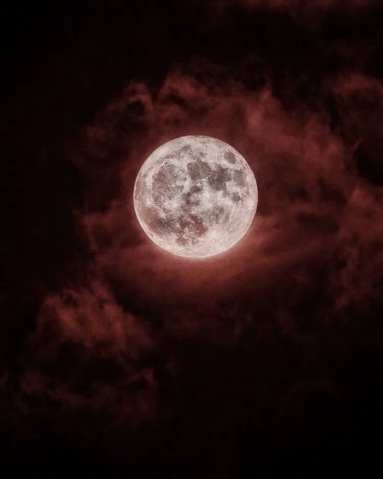 Avatar of Dead of Night