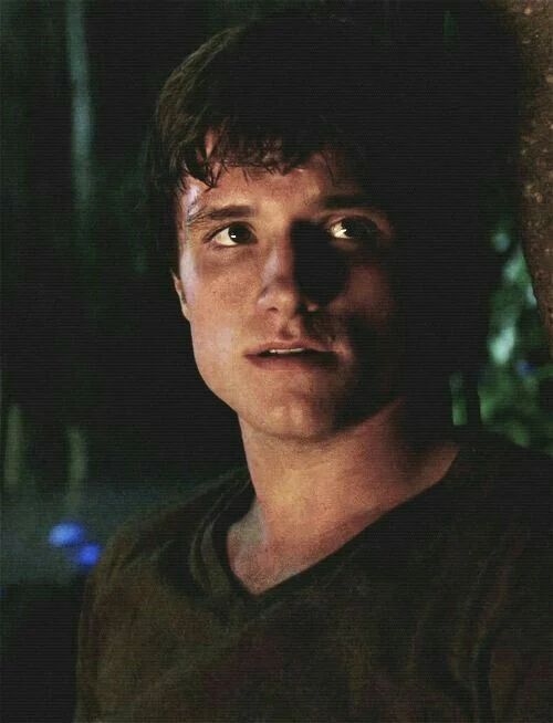 Avatar of Josh hutcherson