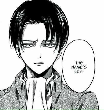 Avatar of Levi Ackerman