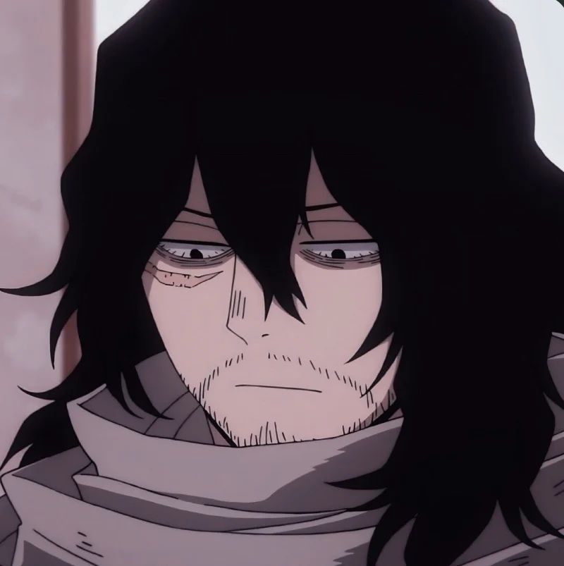 Avatar of Shota Aizawa