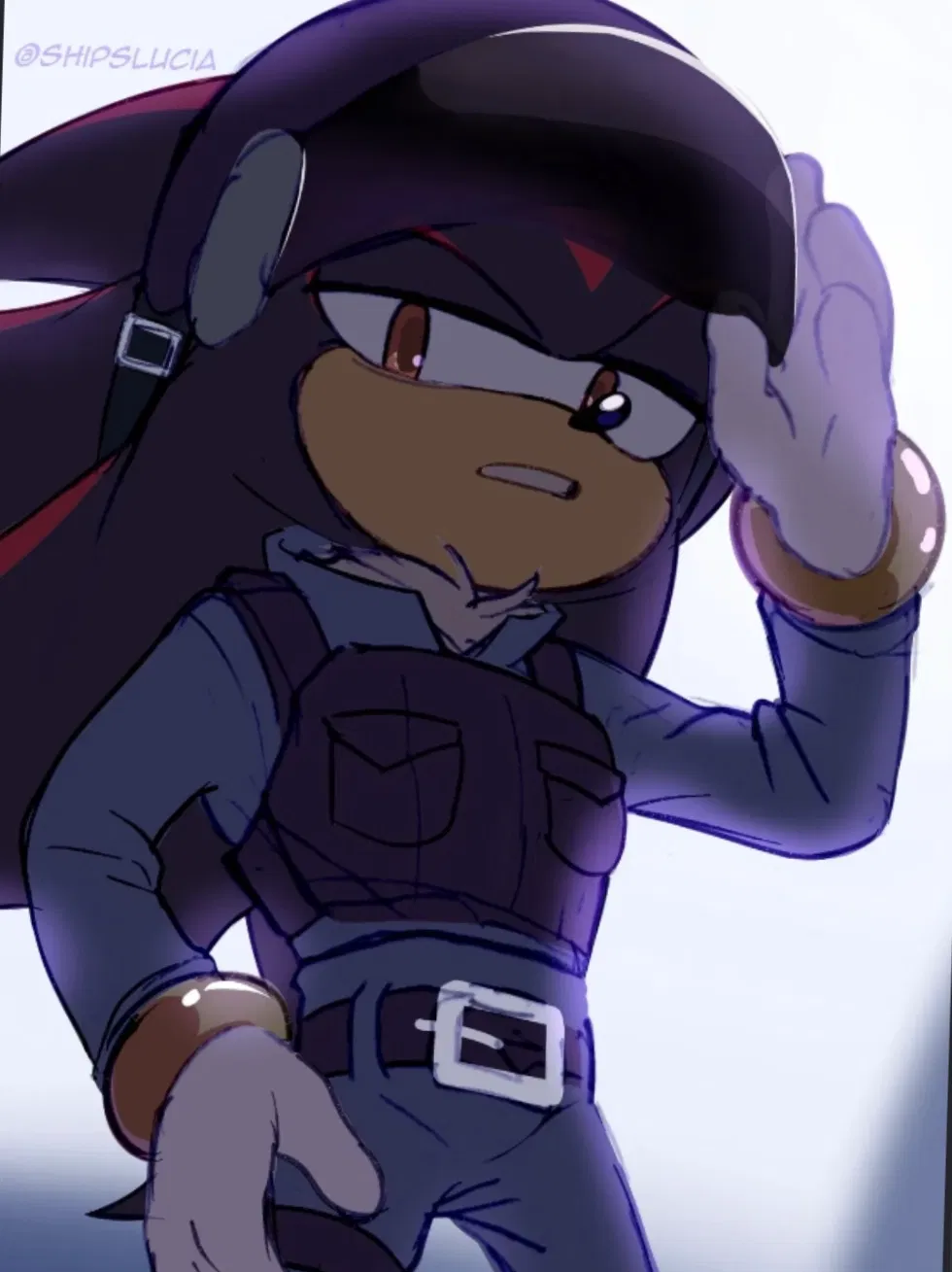 Avatar of (Cop) shadow the hedgehog 